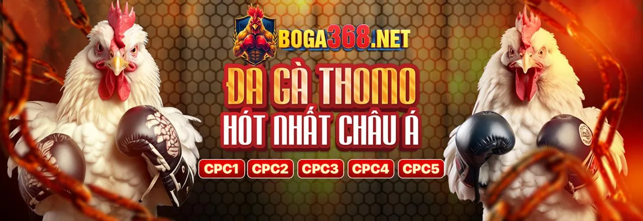 Hình ảnh tổng quan về các tin tức, khuyến mãi và trò chơi mới nhất từ ho88 link mới
